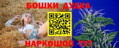 МДПВ Лесосибирск