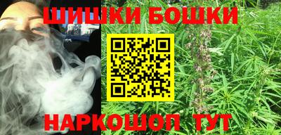 МДПВ Лесосибирск