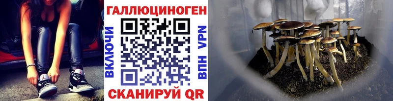 Галлюциногенные грибы GOLDEN TEACHER  Кострома 