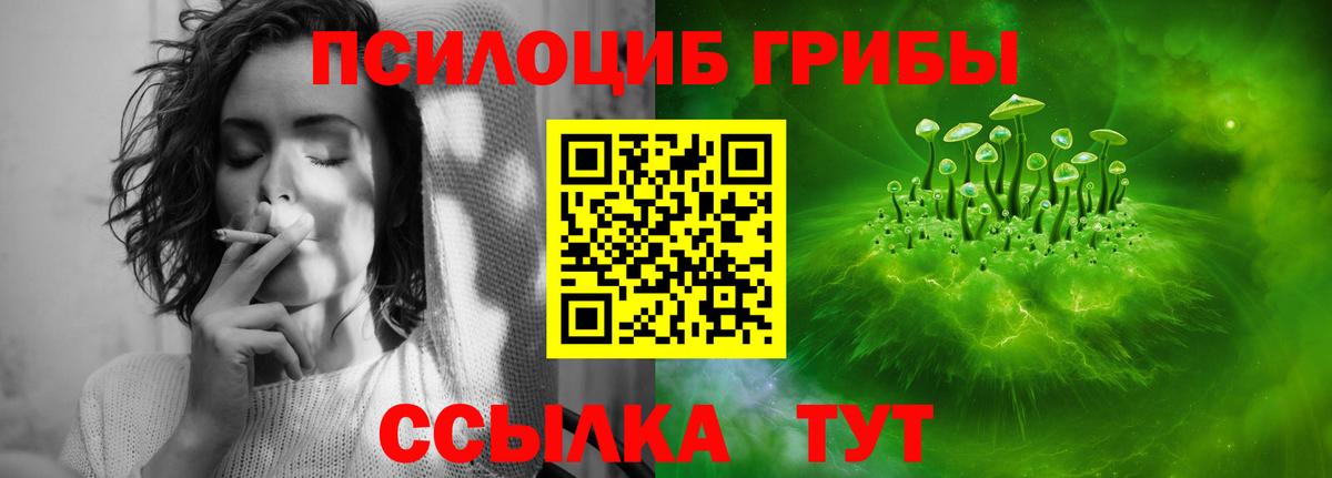 как найти   Псилоцибиновые грибы Psilocybe  Псилоцибиновые грибы Psilocybe  Вход с VPN  Кострома 